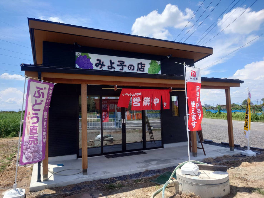 本年の営業を開始しました。