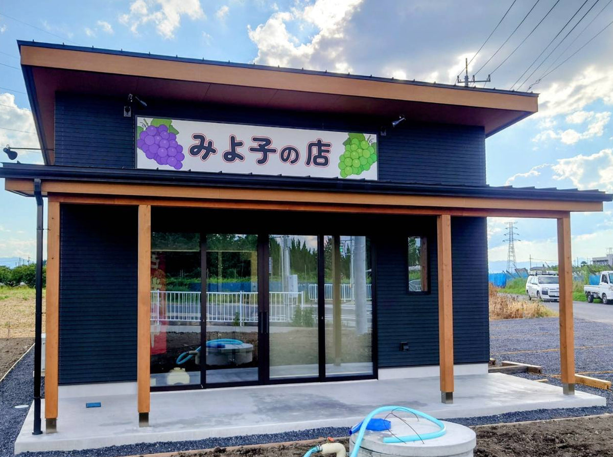 旬のぶどうを、農園から。